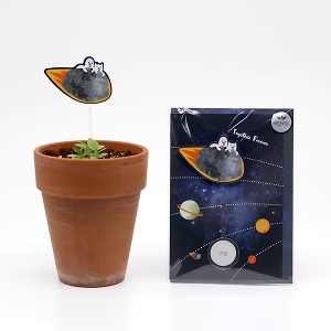 새싹키우기 관찰학습 식물 우주여행 과꽃 씨앗카드